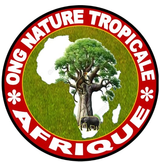 nta-ong-logo
